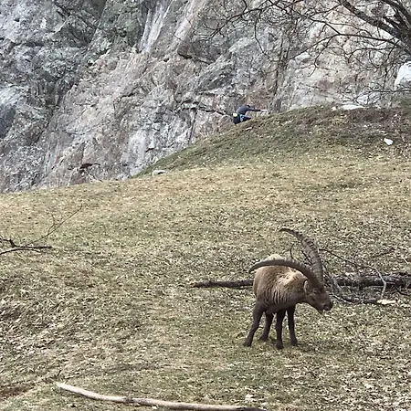 Des Lacs 2* Chamonix