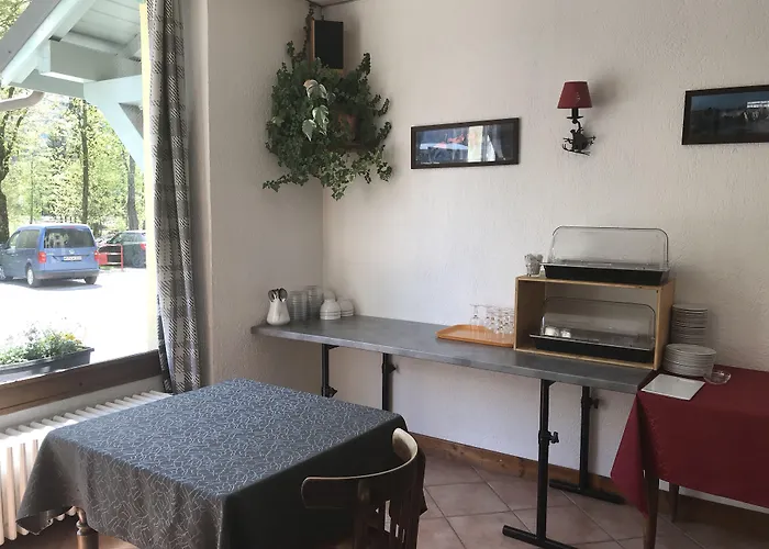 酒店 艾雷斯酒店 霞慕尼