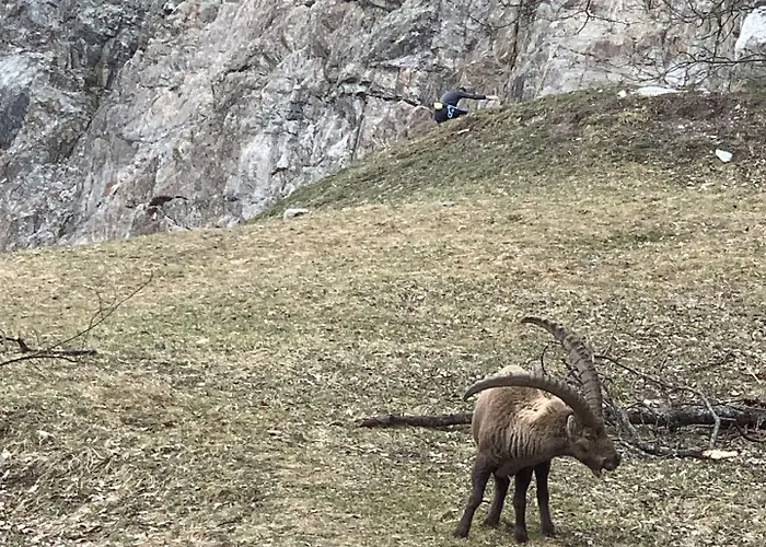 Des Lacs 2* Шамоні