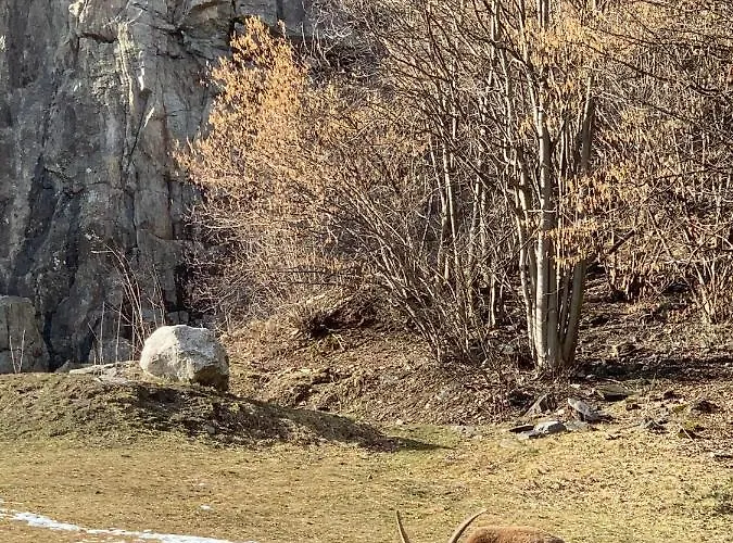 Des Lacs Шамоні